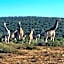 Kudu Ridge Game Lodge