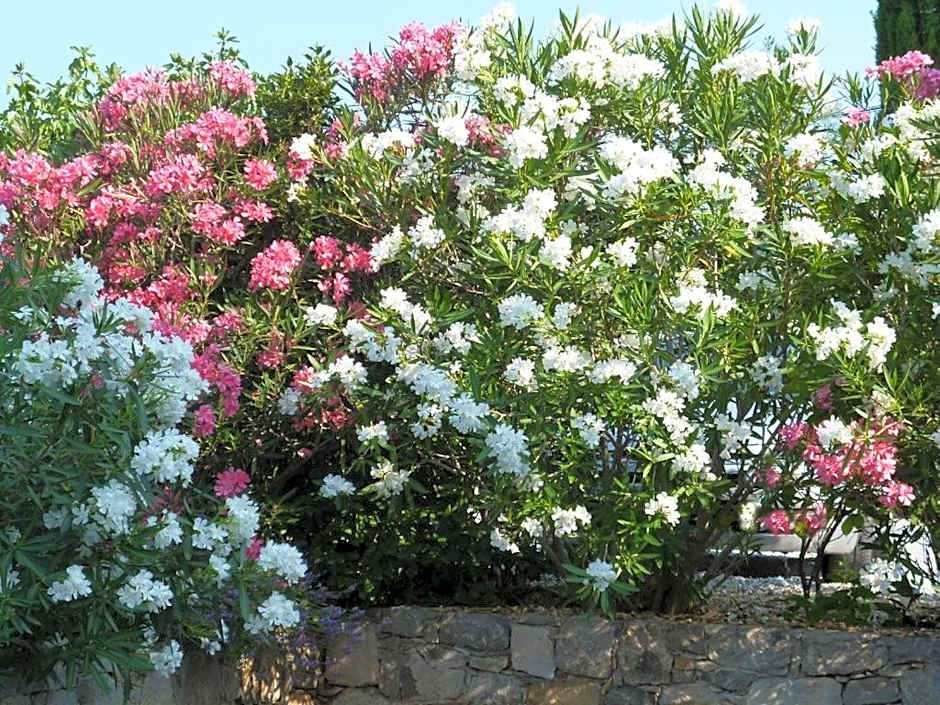 L'Escale Provençale