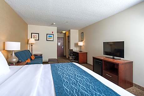 1 King Bed  Suite  No Smoking  Accessible Room