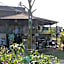 Lotus Sutra Beachfront Resort