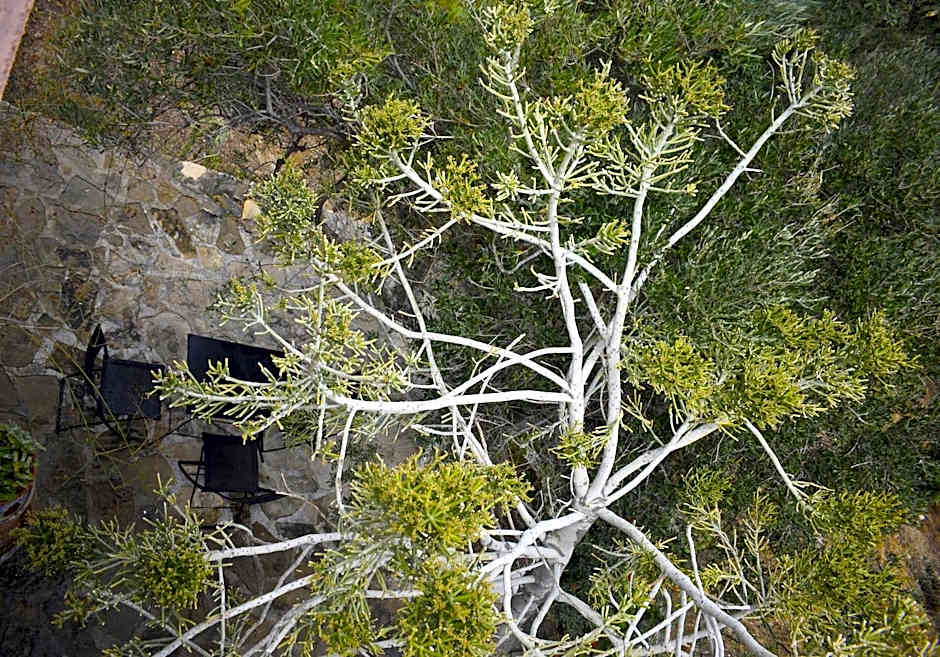 Anemos Holiday Houses - Unterkunft in Südkreta