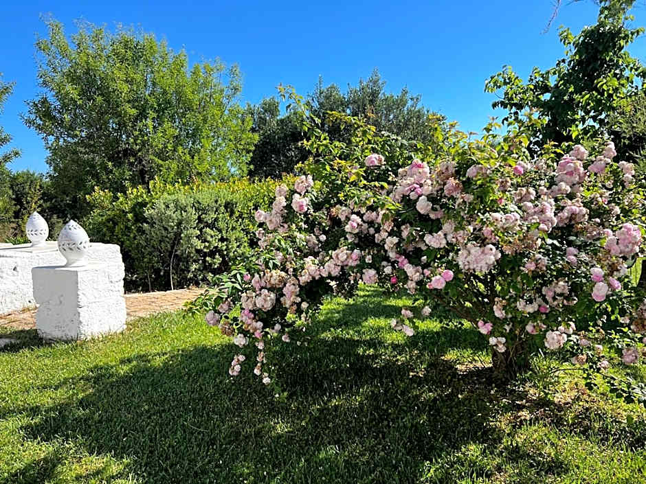 B&B Don Giovanni Monopoli