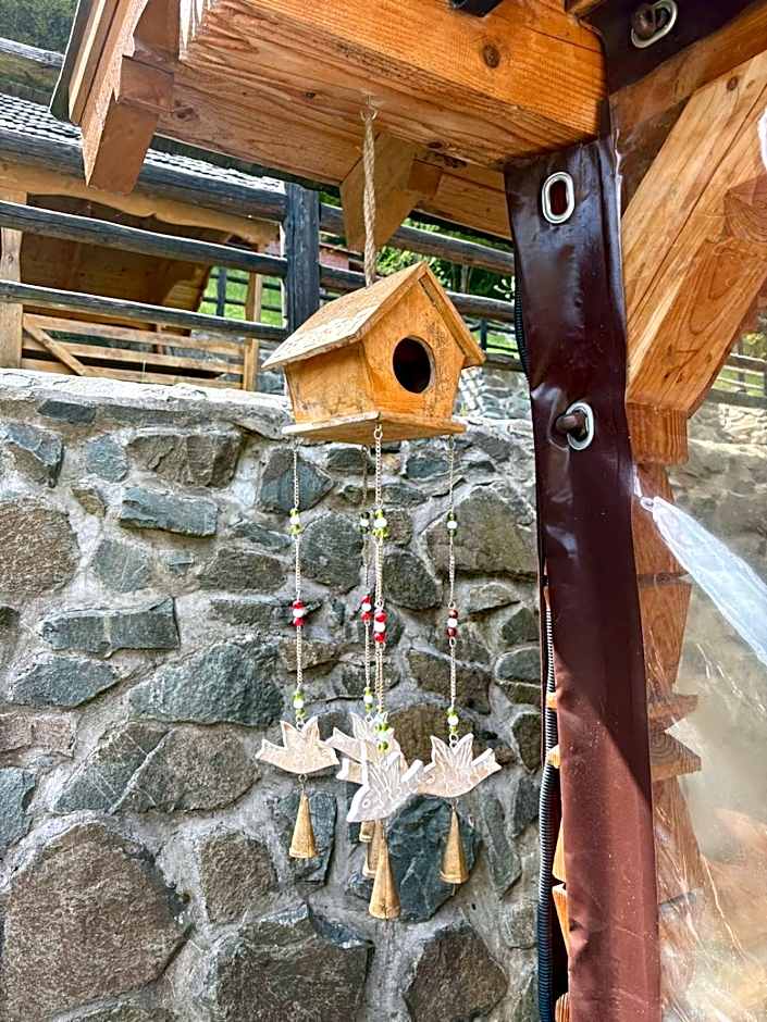 Pensiunea Popas Pop, Strambu-Baiut, Maramures