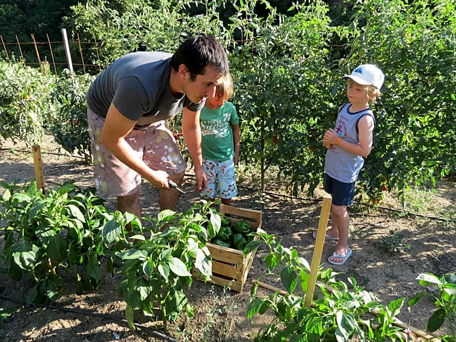 Auberge - Hotel U Paradisu