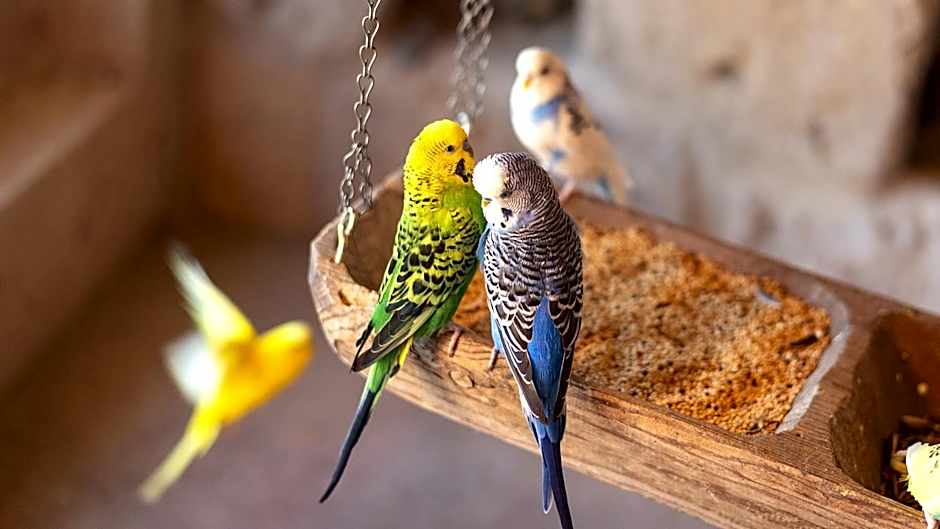 AJWA Cappadocia - Preferred Hotels Legend Collection