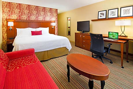 King Room with Sofa Bed