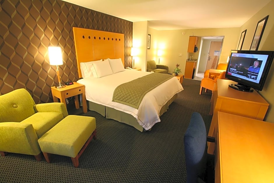 Holiday Inn Express & Suites Monterrey Aeropuerto By IHG