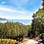 ISA-Ecovillage with swimming-pool in Teulada surrounded by greenery just 400 meters from the sea