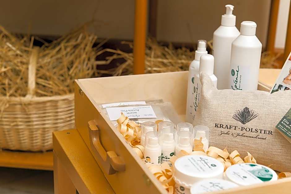 Chalet Silvretta Hotel & Spa