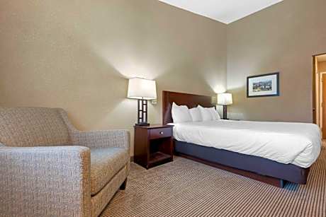 King Room with Roll-In Shower - Mobility Access