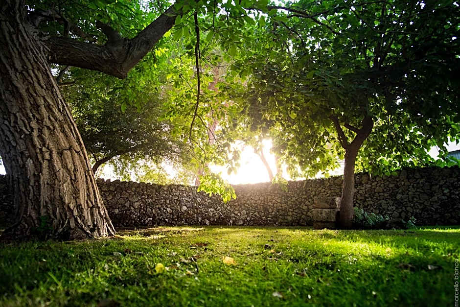 Masseria Degli Ulivi