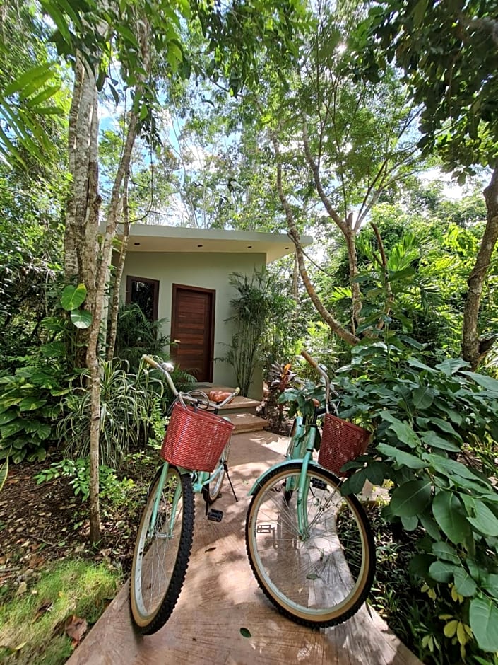 Secret Gardens Bacalar Suite 02 con alberca y bicicletas