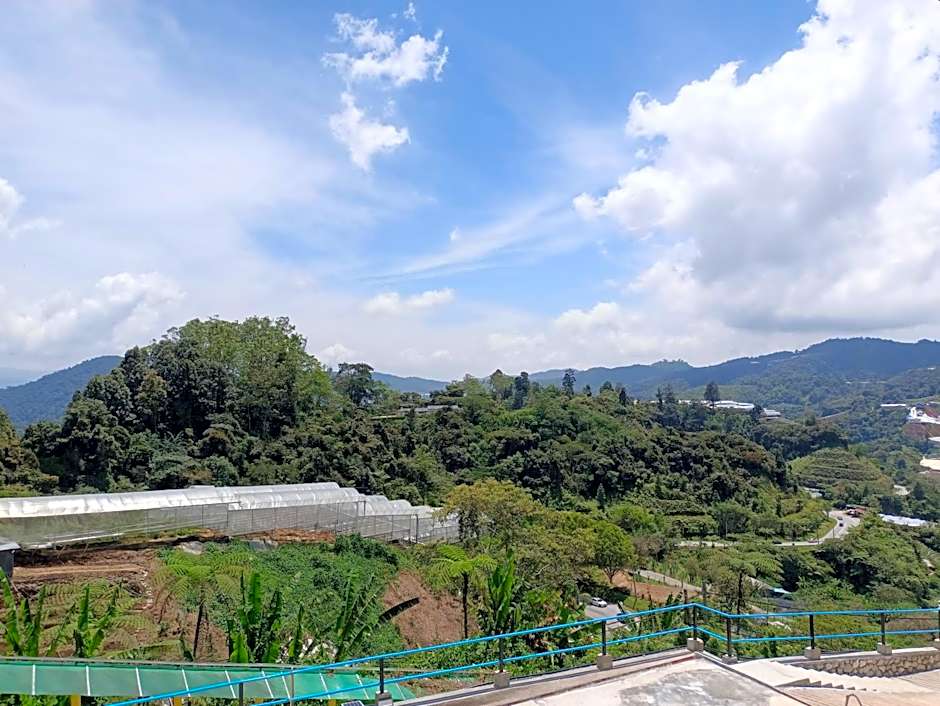 Cameron Highlands Blueberry Earth House