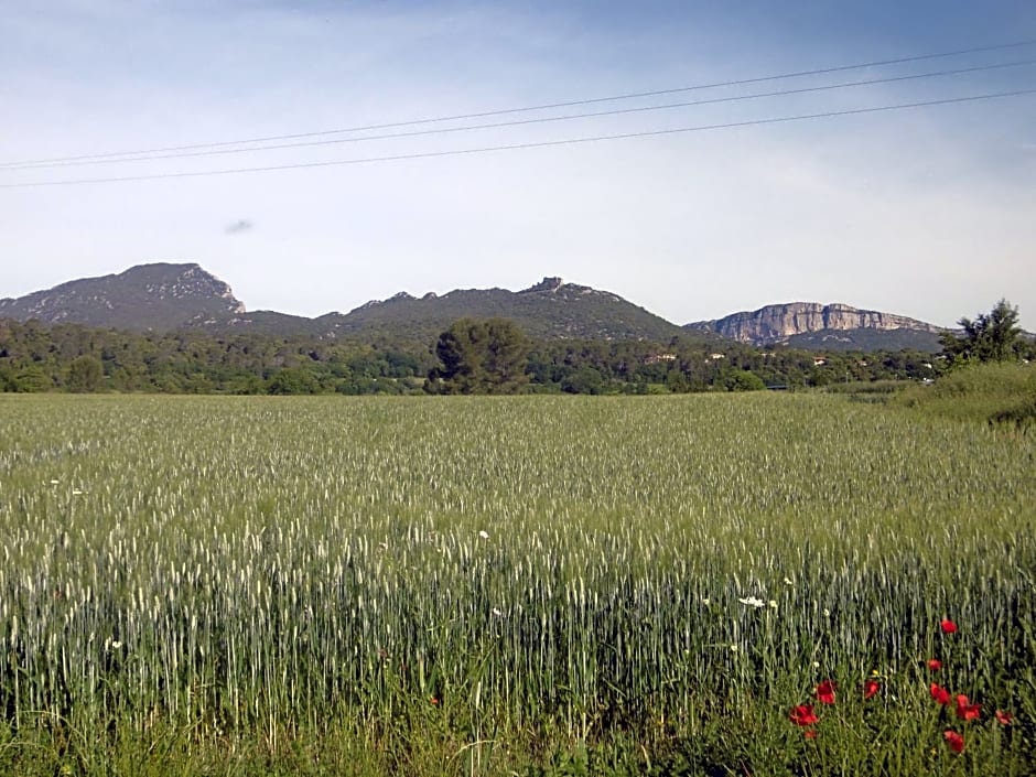 Le Castellas du Pic St Loup