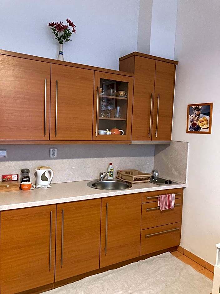 Aparthotel City 5