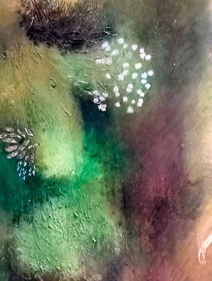 Dogana d'Acqua Rooms & Art