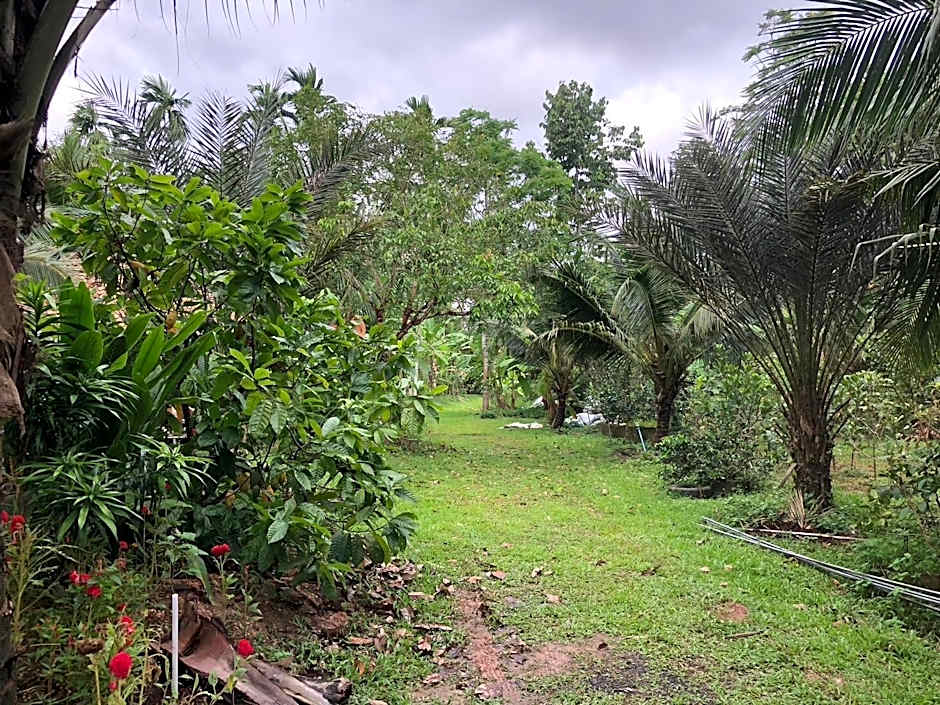 Green Happy Homestay 