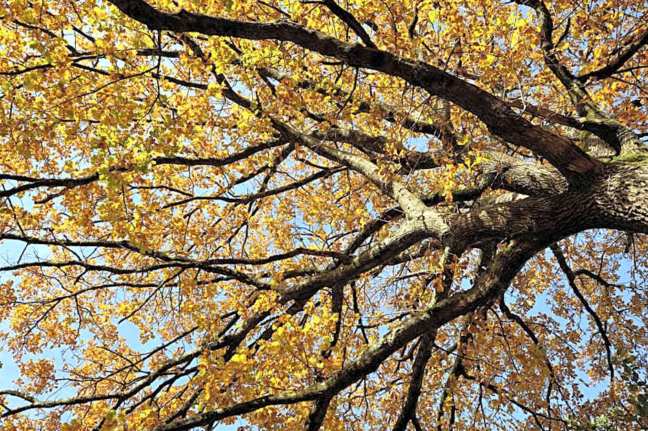 Hôtel du Parc Nantes Ouest Orvault