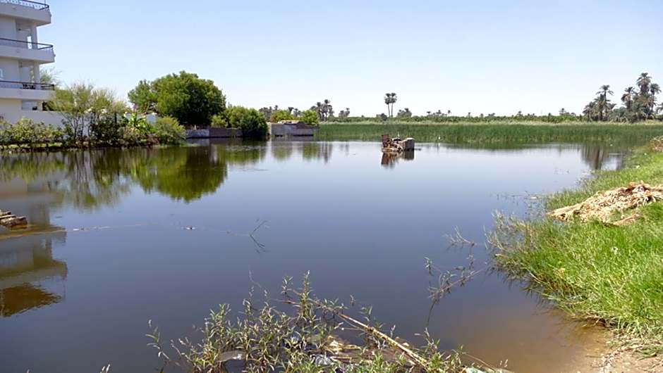 Mama Africa Apts & Studios