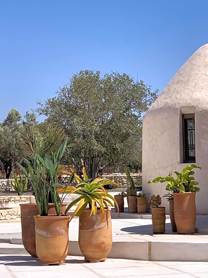 Les Jardins de Villa Maroc