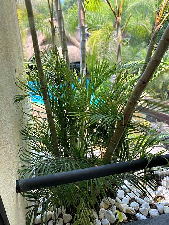 Hotel Camino Surreal Xilitla