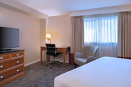 Premium Room, Guest room, 1 Queen