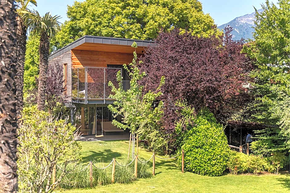 TreeLodgy, The Tree House