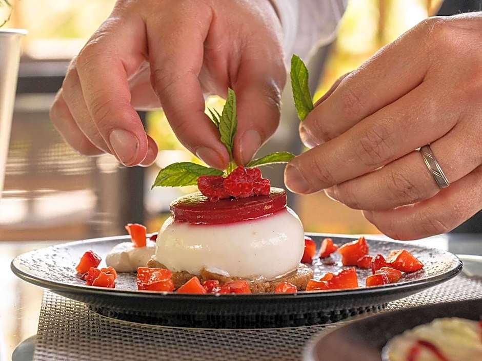 Mercure Aix-En-Provence Sainte-Victoire