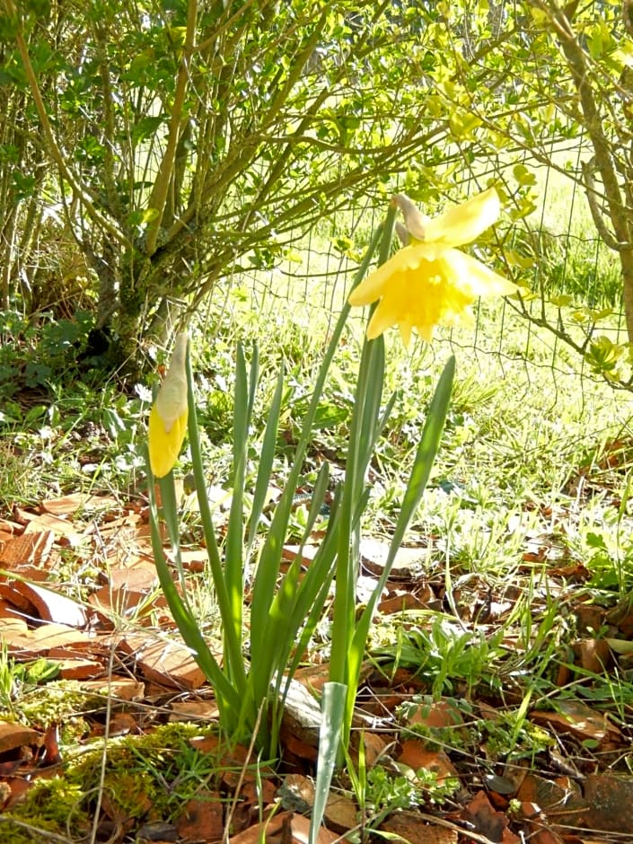 Studio Appart' Les jards