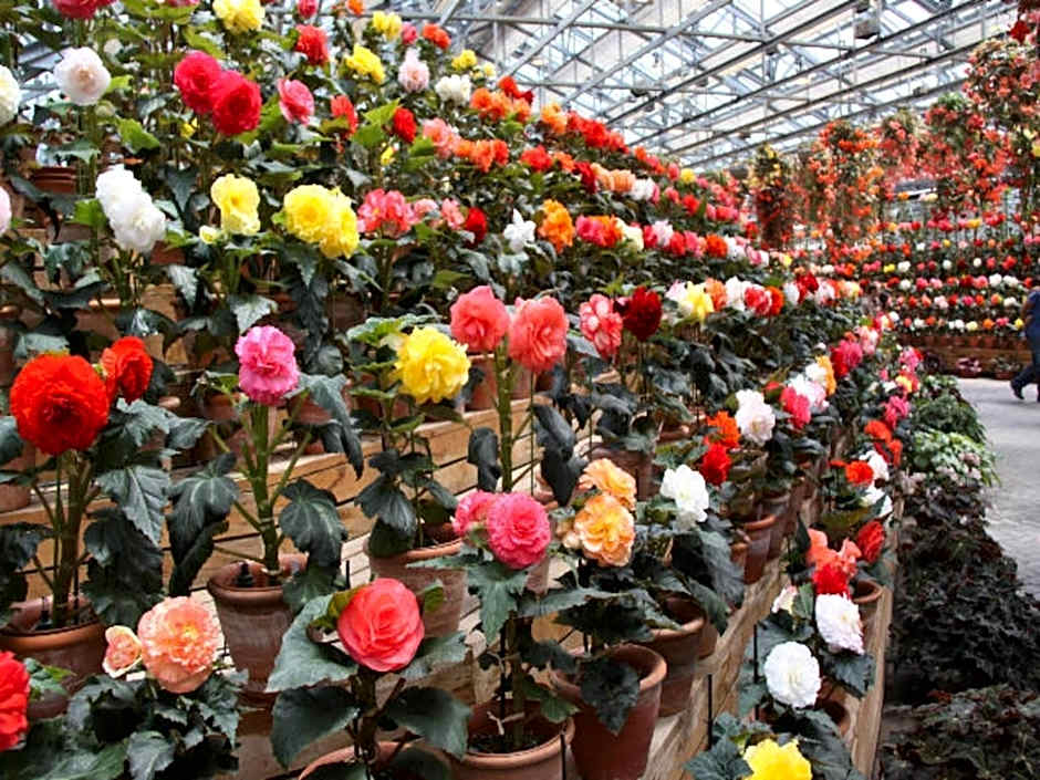 Kuwana Park Hotel - Vacation STAY 66874v