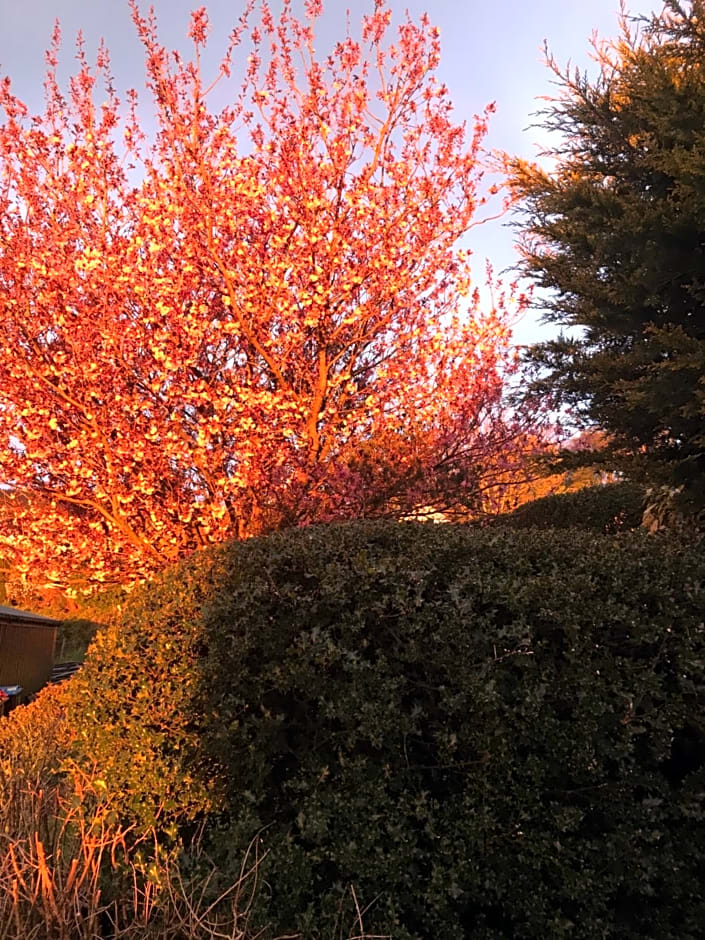 Jacquie's B&B -Dumfries-Room with a view