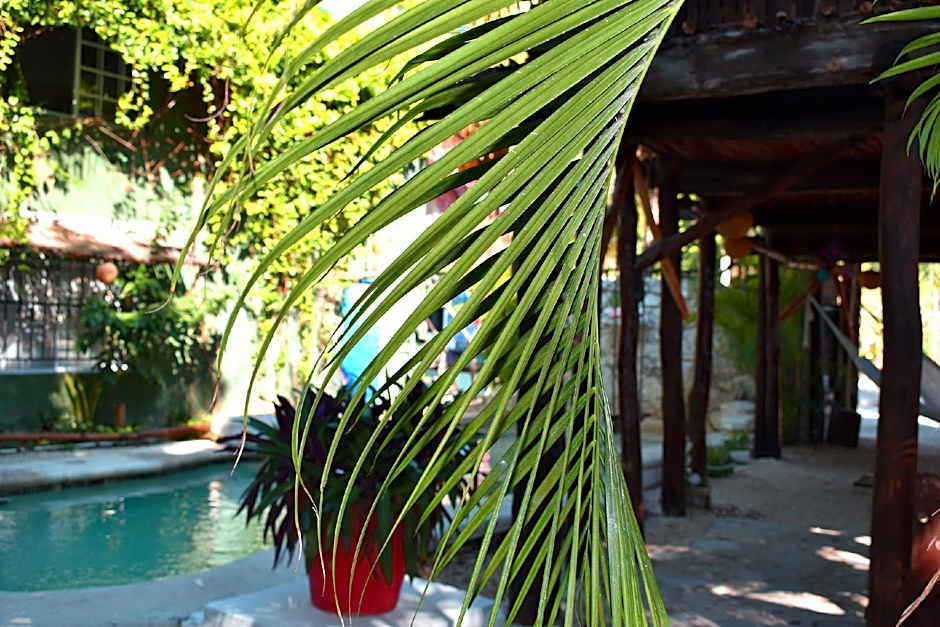 Gastello Inn Tulum