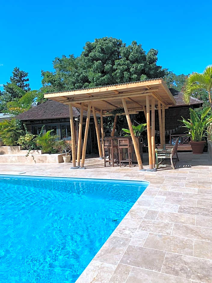 Lotus Garden - Île de la Réunion