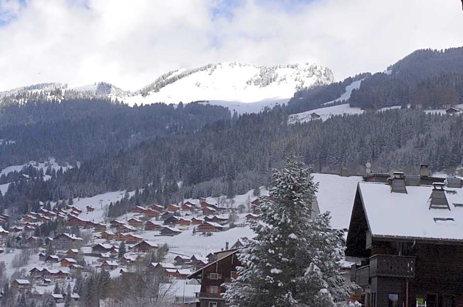 Central Hostel Chatel