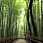 The GrandWest Arashiyama