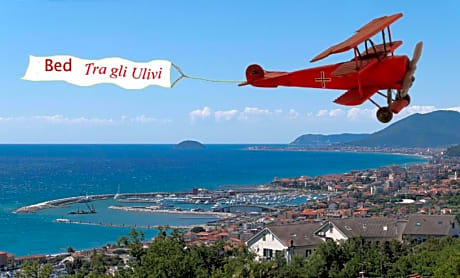Tra Gli Ulivi