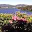Donalea Bed & Breakfast
