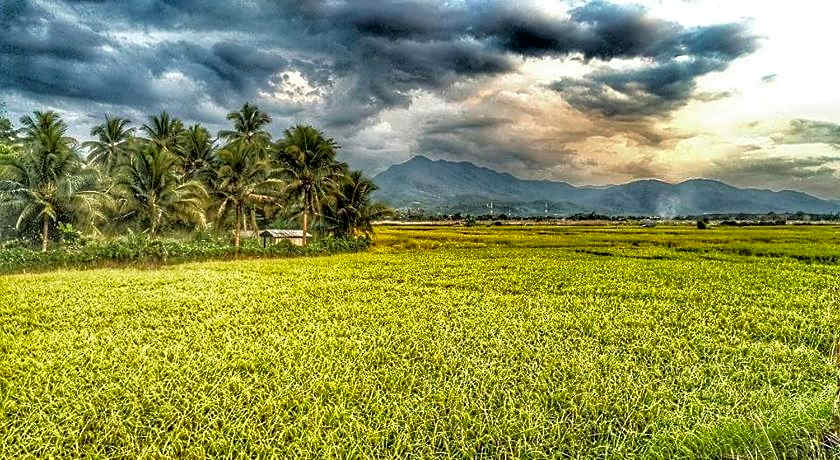 Above The Sea Boutique Hotel