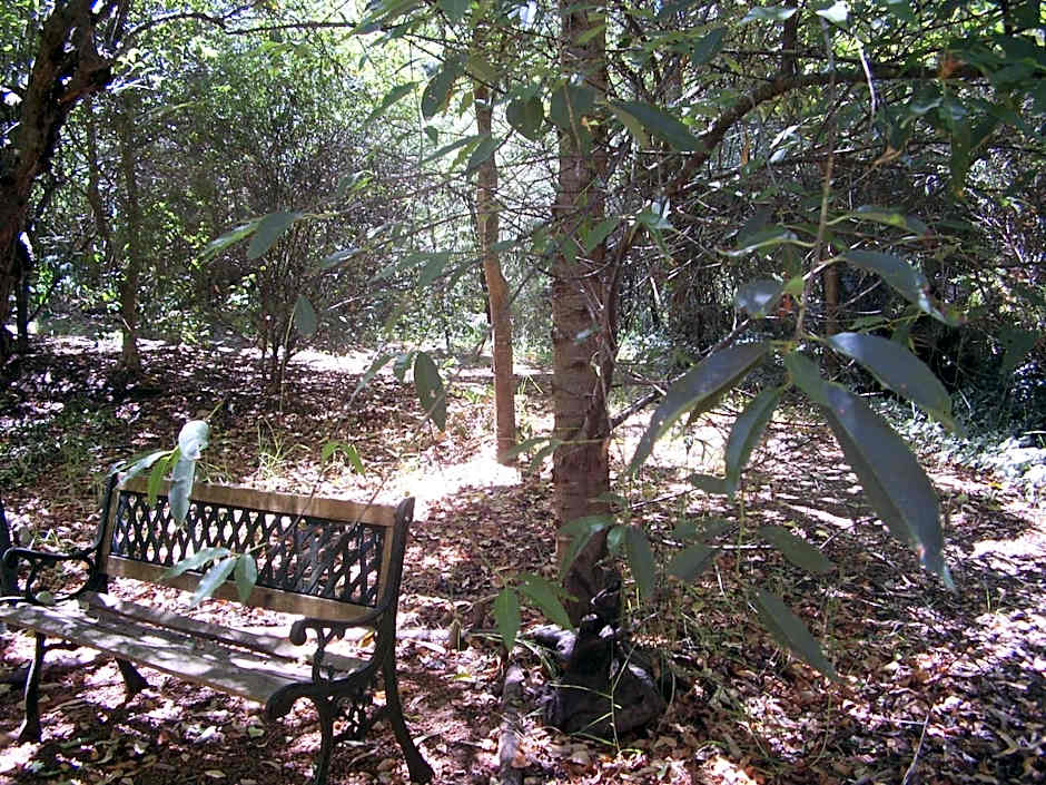 Black Cockatoo Lodge