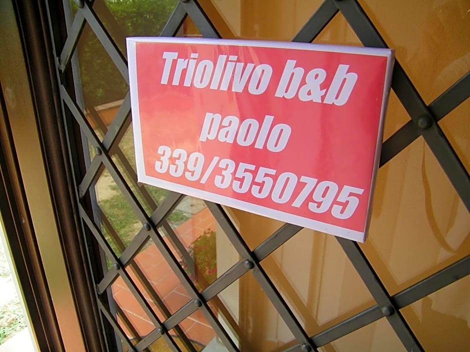 Triolivo B&B