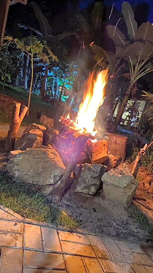 Aruá Observação de Vida Silvestre