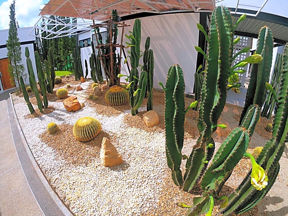 The Gold Living Life