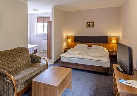 Studio with Sofa Bed