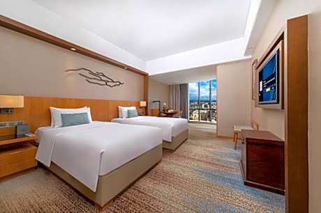 Deluxe Business Twin