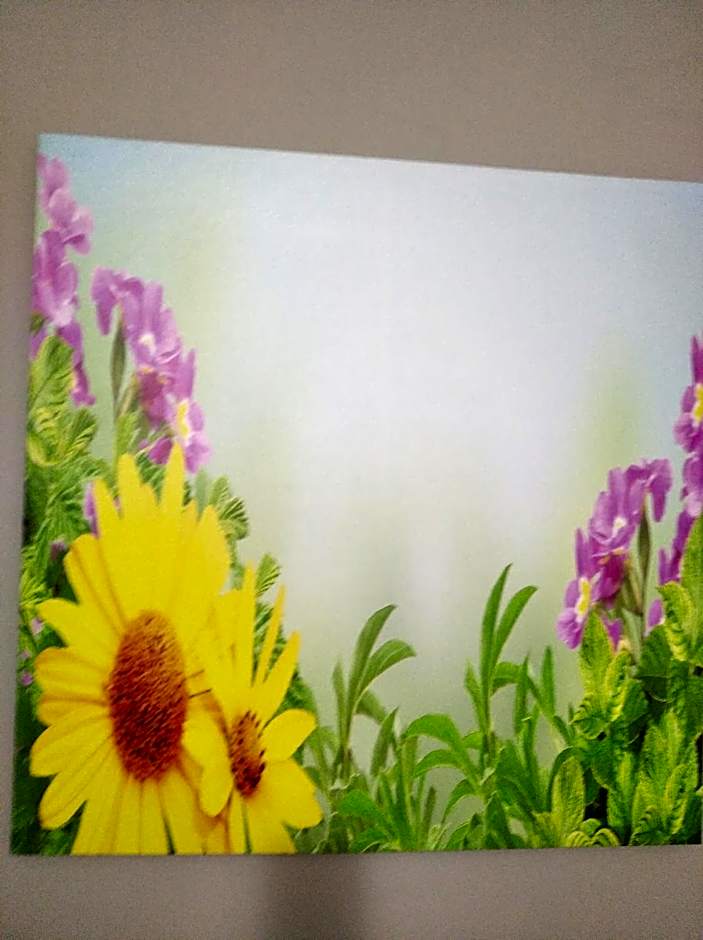 Agriturismo B&B Il Girasole