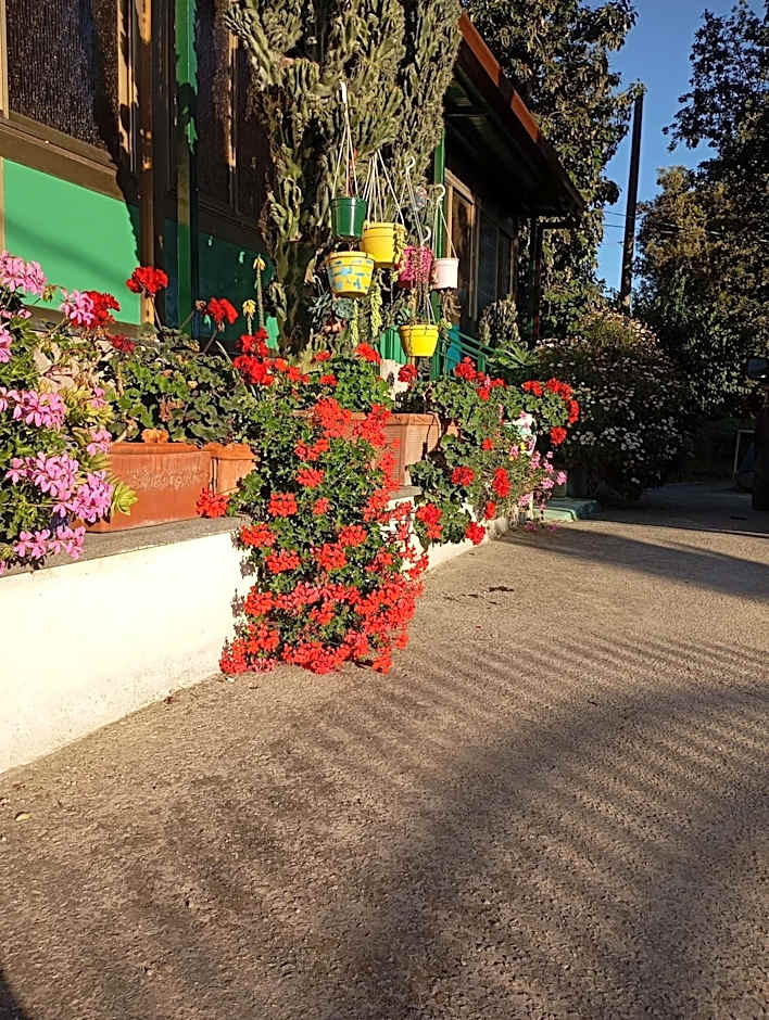 Lemontree House Bacoli