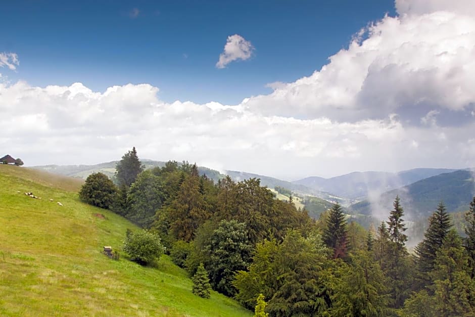 Swoboda na szczycie góry