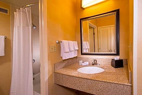 Suite, 1 King Bed with Sofa bed (1 King Bed and 1 Double Sofa Bed)