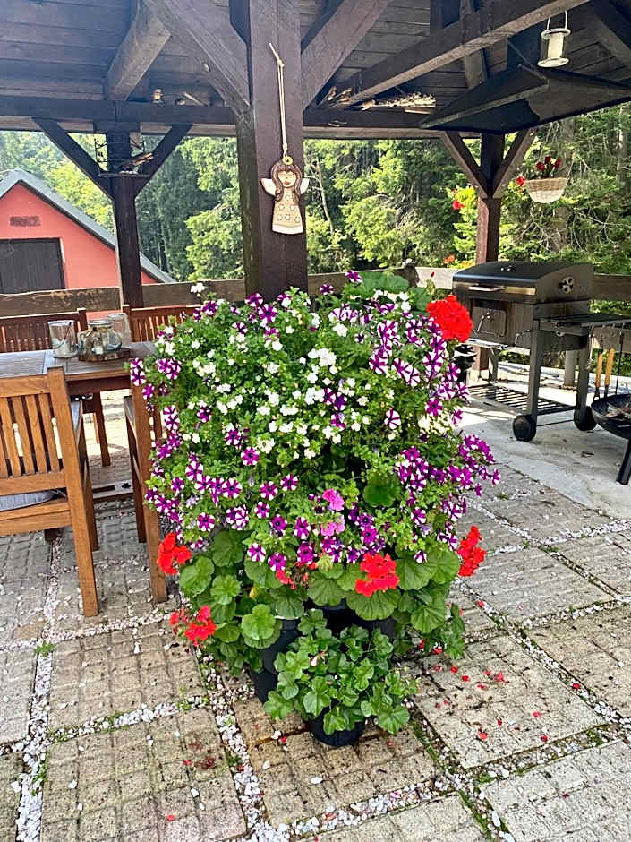 Hotel Petski