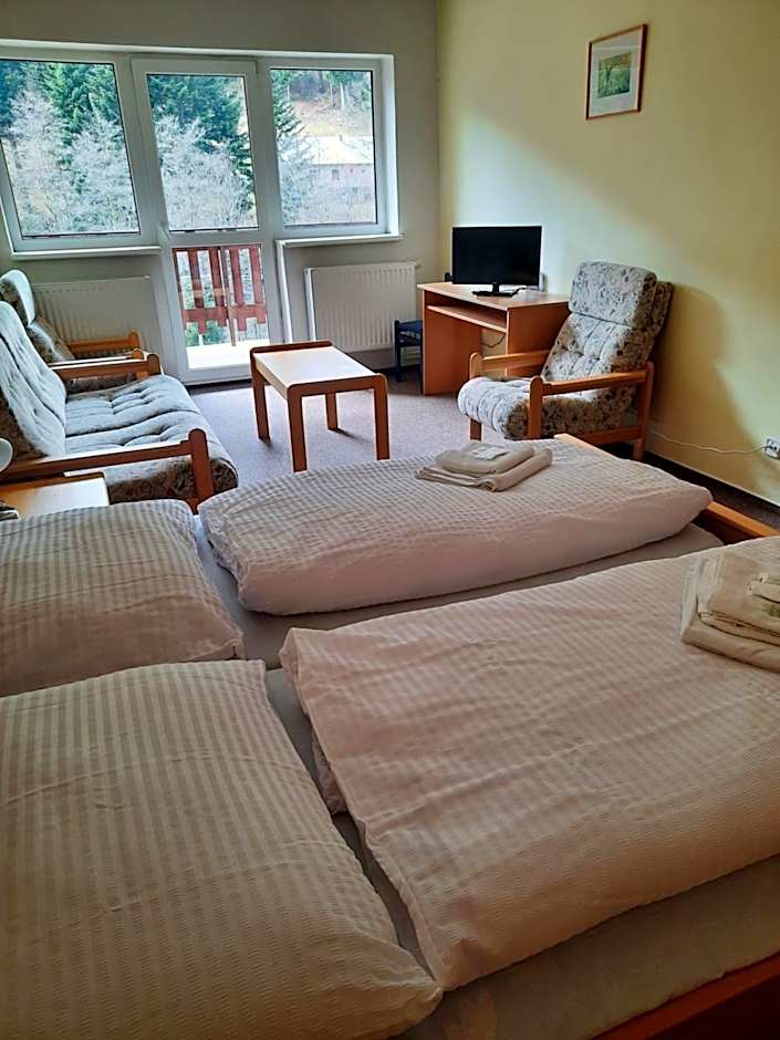 Horský Hotel Podjavorník